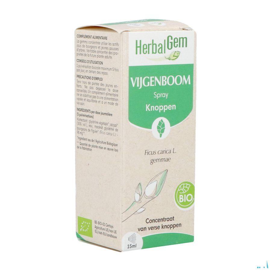 Herbalgem Figuier Bio Spray 15 ml