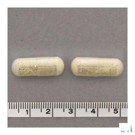 Linidol Caps 60  -  Nutriphyt