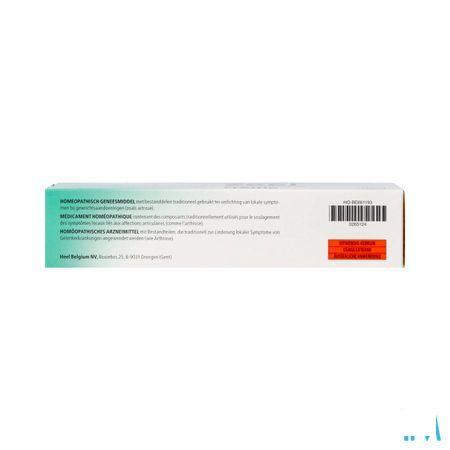 Zeel Creme 100 gr  -  Heel