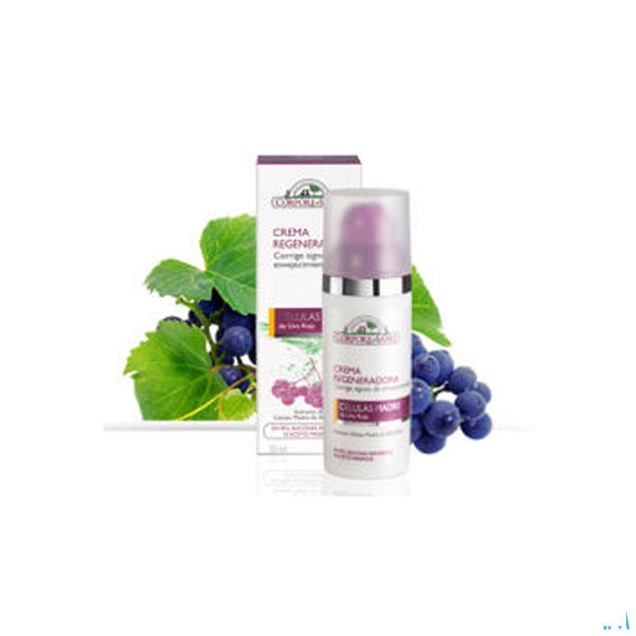 Soria Regenerating Cream 50 ml  -  Soria Bel