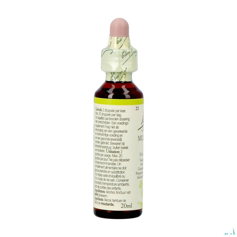 Bach Flower Remedie 21 Mustard 20 ml