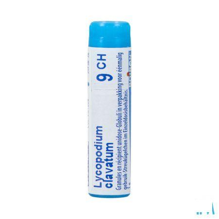 Lycopodium Clavatum 9CH Gl  -  Boiron