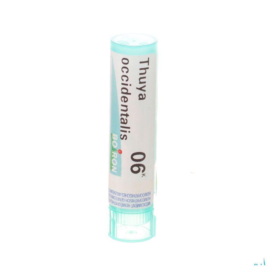 Thuya Occidentalis 6k Gr 4g  -  Boiron