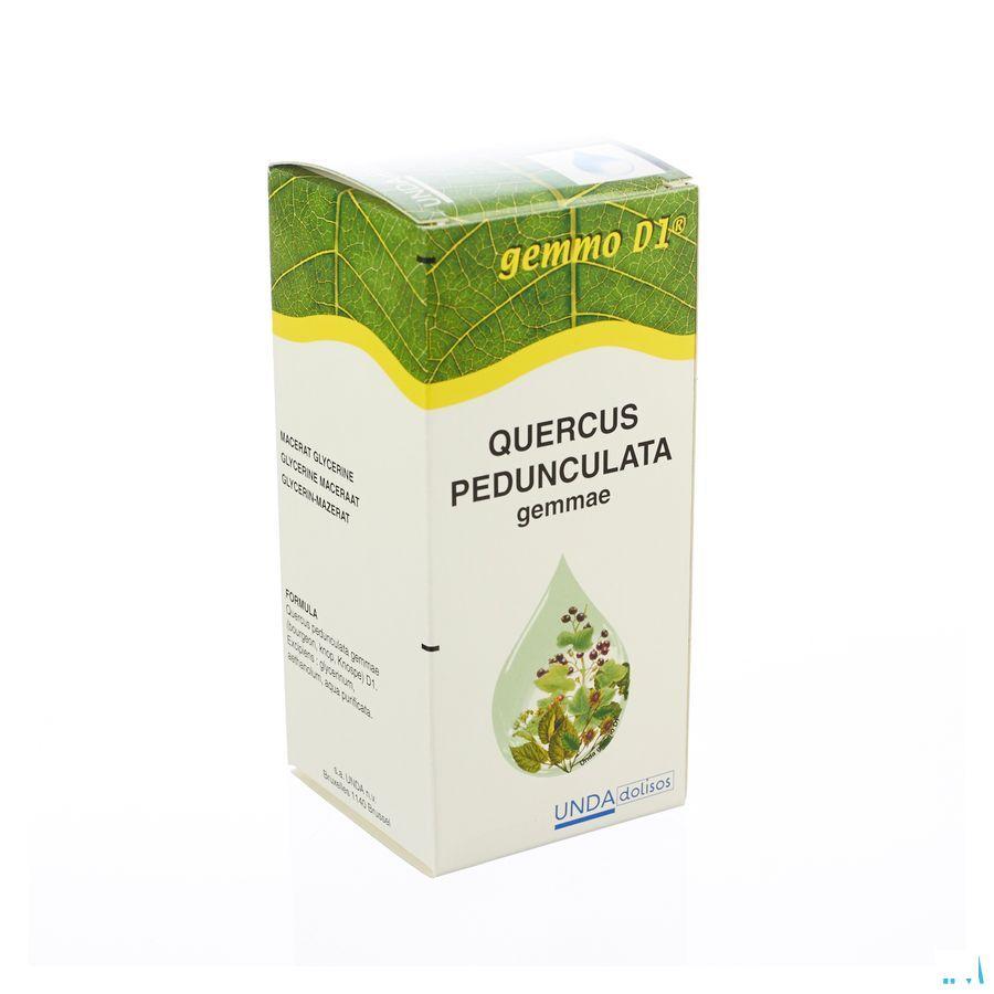 Quercus Ped.gem.gemmo D1 125 ml  -  Boiron