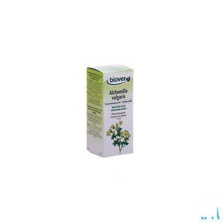 Alchemille Teint Bio 50 ml   -  Ocebio