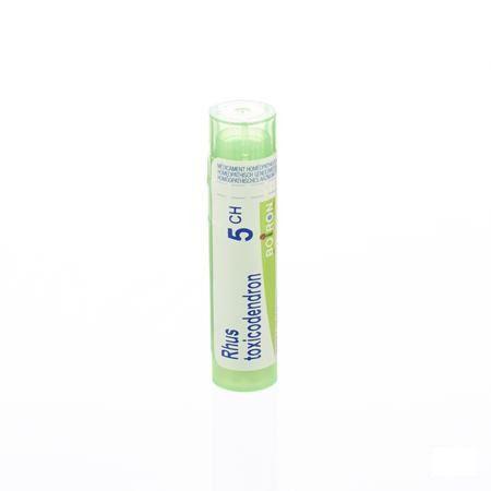 Rhus Toxicodendron 5CH Gr 4g  -  Boiron