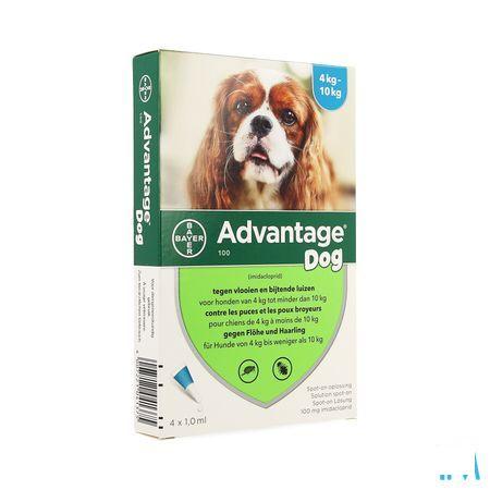 Advantage 100 Honden 4