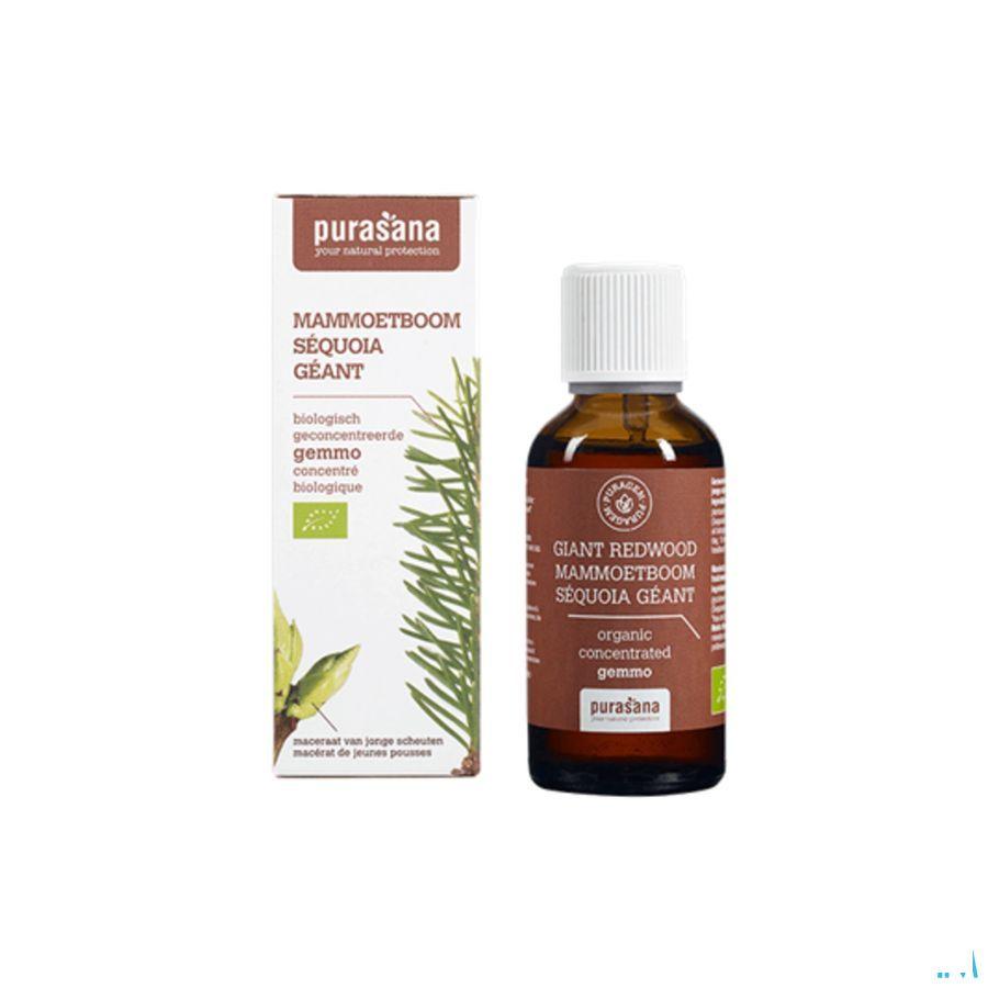 Purasana Puragemm Sequoia 50 ml