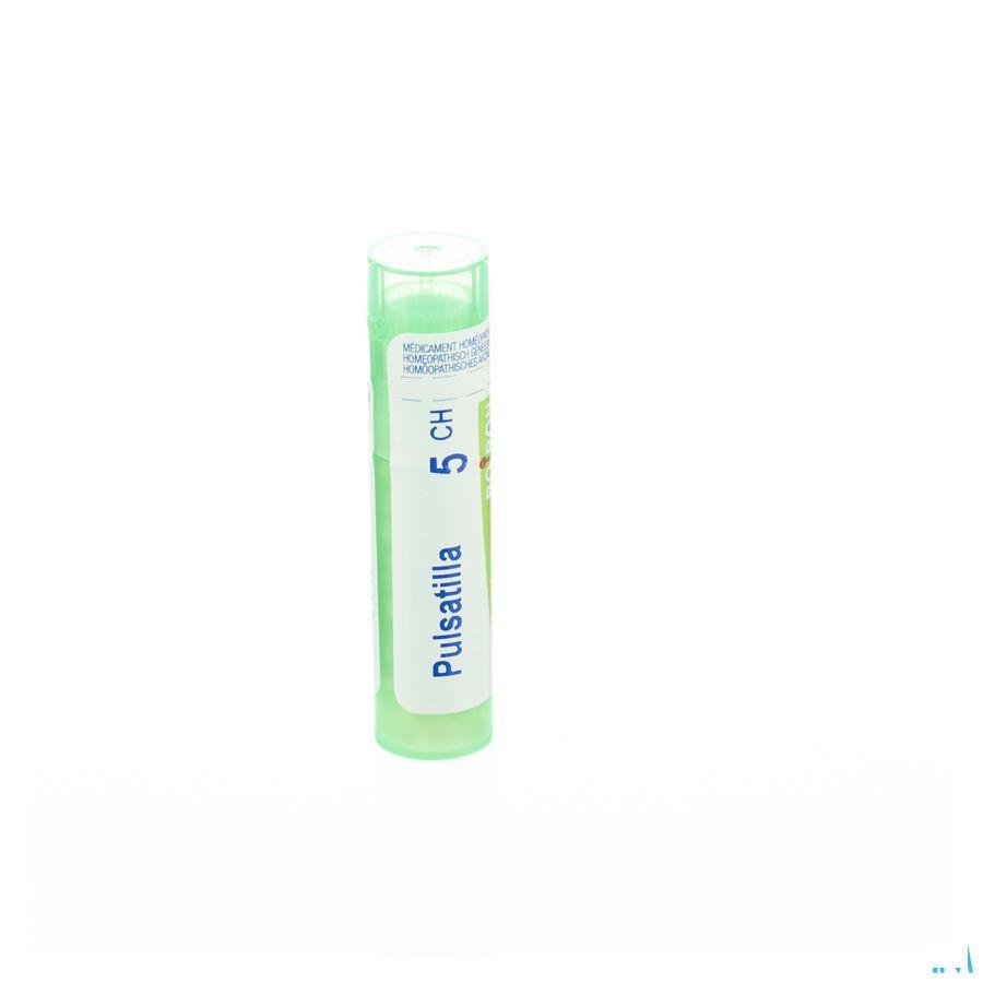 Pulsatilla 5CH Gr 4g  -  Boiron