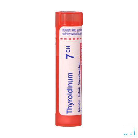 Thyroidinum 7CH Gr 4g  -  Boiron