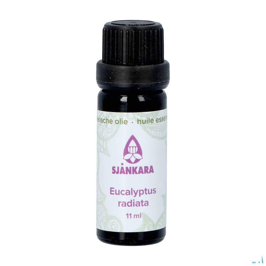 Sjankara Eucalyptus Radiata Ess. Olie Bio 11 ml