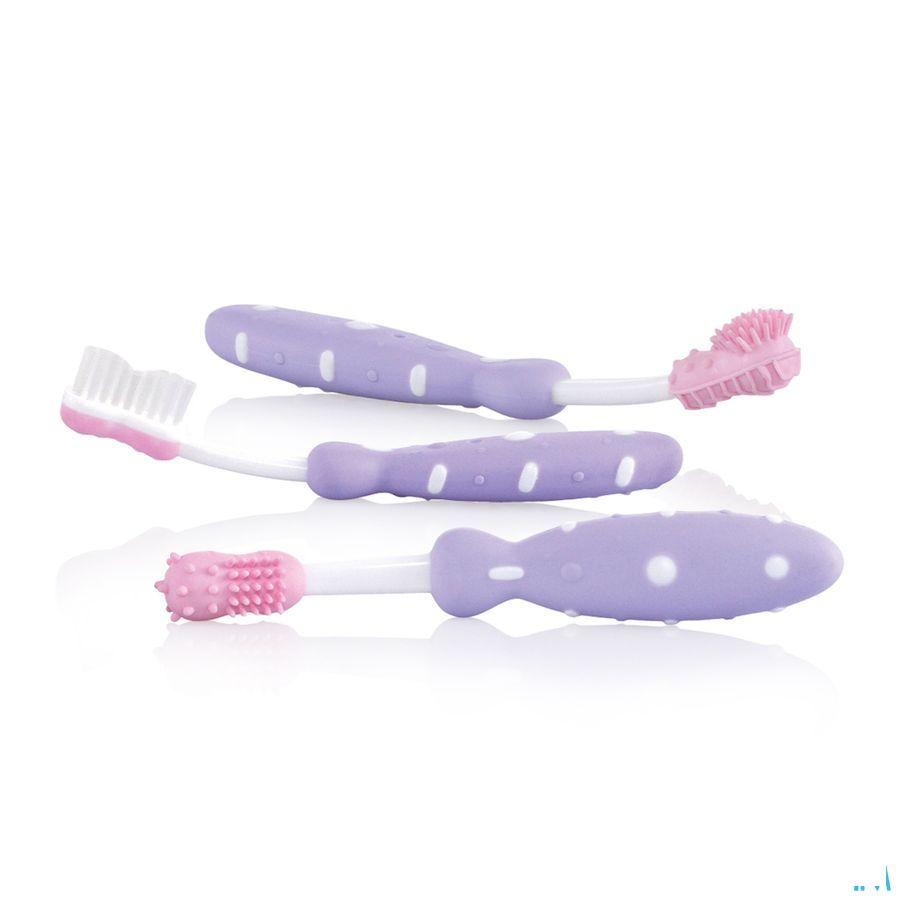 Nuby Tandenborstelset 3 Stuks 3m +   -  New Valmar