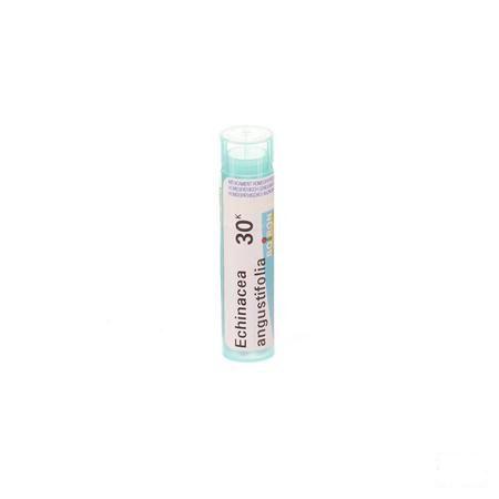 Echinacea Angustifolia 30K Gr 4g  -  Boiron