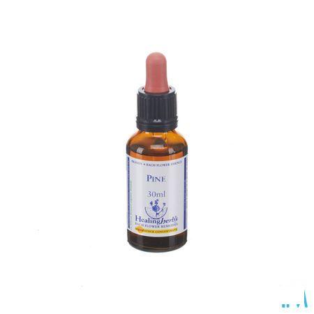 Healing Herbs Pine 30 ml
