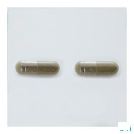 Arkocaps Ginkgo Biloba Plantaardig 150 3733110  -  Arkopharma