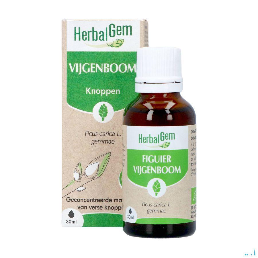 Herbalgem Vijgenboom Bio 30 ml