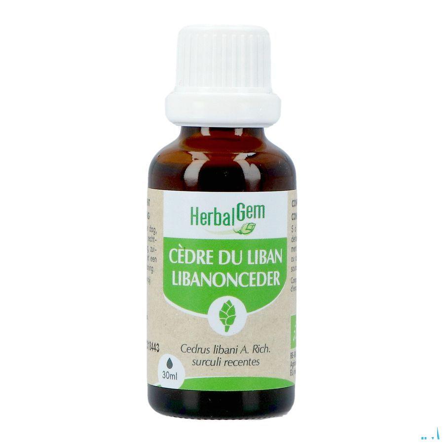 Herbalgem Cedre Bio 30 ml