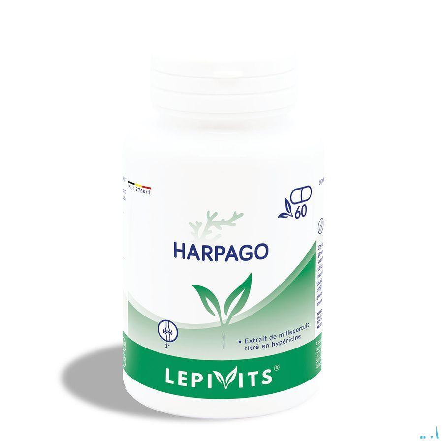Leppin Harpago Plus Capsule 60  -  Lepivits