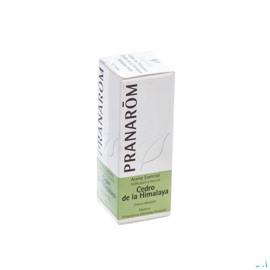 Cedre Himalaya Huile Essentielle 10 ml  -  Pranarom
