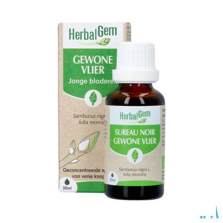 Herbalgem Sureau Noir Bio 30 ml