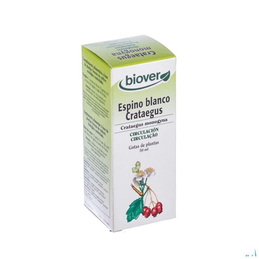 Biokruideninfusie Circulatie Zakje 20  -  Biover