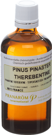 Pinus Pinaster Terebent. Essentiele Olie 100 ml  -  Pranarom