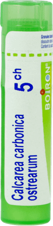 Calcarea Carbonica Ostrearum 5CH Gr 4g  -  Boiron