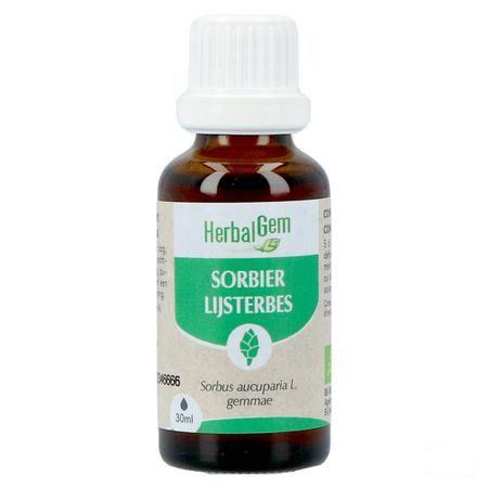 Herbalgem Lijsterbes Bio 30 ml