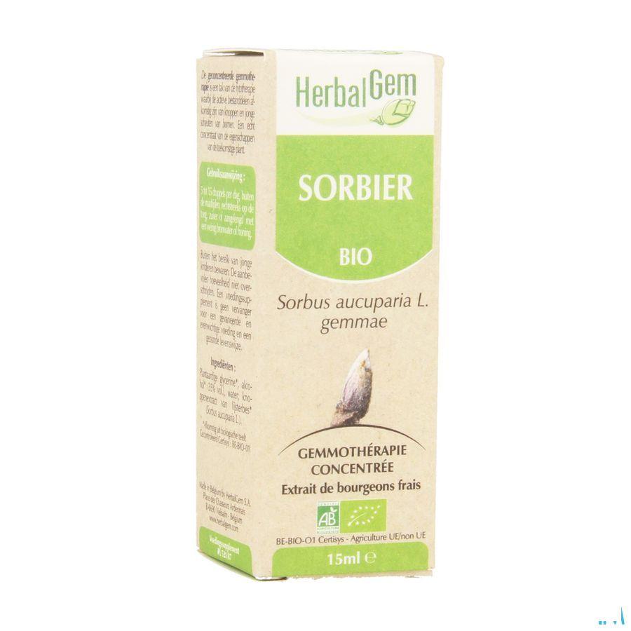 Herbalgem Lijsterbes Maceraat 15 ml  -  Herbalgem