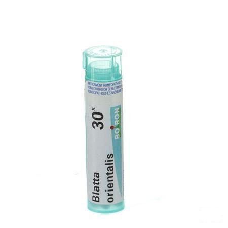Blatta Orientalis 30K Gr 4g  -  Boiron