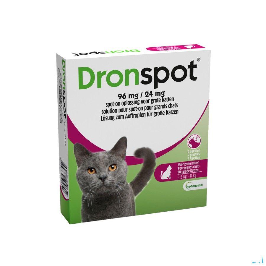 Dronspot 96 mg/24 mg Spot-On Kat Groot >5-8Kg Pip 2