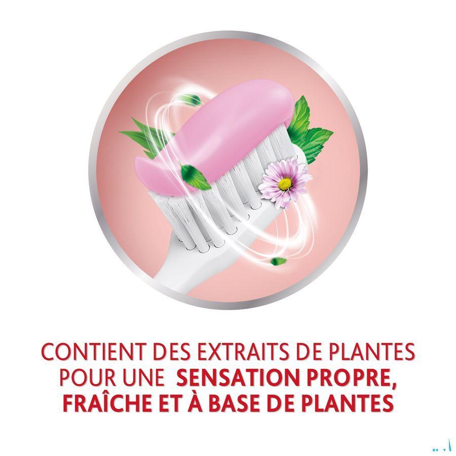 Parodontax Dentifrice Herbal Ginger Tube 75 ml