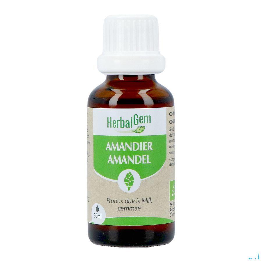 Herbalgem Amande Do Bio 30 ml
