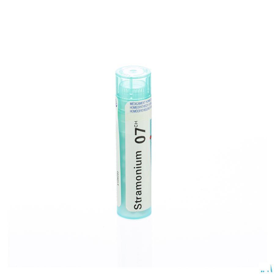 Stramonium 7CH Gr 4g  -  Boiron