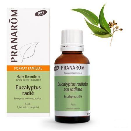 Eucalyptus Radiata Bio Huile Essentielle 30 ml  -  Pranarom