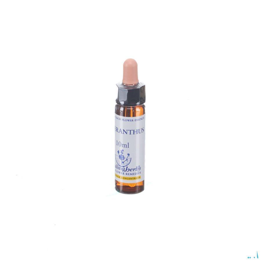 Healing Herbs Scleranthus 10 ml
