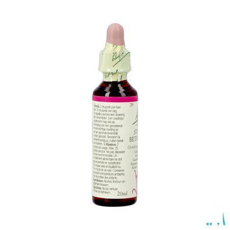 Bach Flower Remedie 29 Star Bethlehem 20 ml