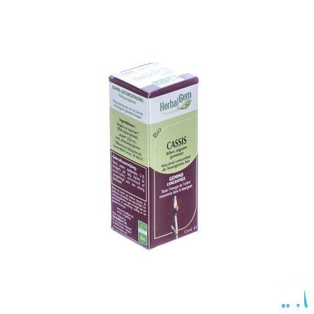 Herbalgem Zwarte Bes Maceraat 15 ml  -  Herbalgem