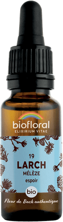 Fleurs De Bach 19 Larch Meleze Bio 20 ml Demeter  -  Pranarom