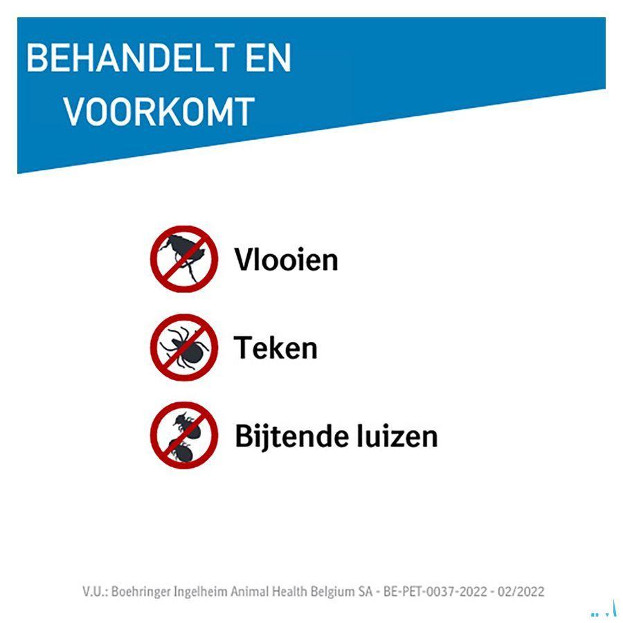 Frontline Spot On Chien 40-60kg et 3x4,02 ml