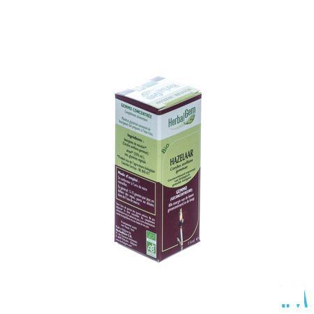 Herbalgem Hazelaar Maceraat 15 ml  -  Herbalgem