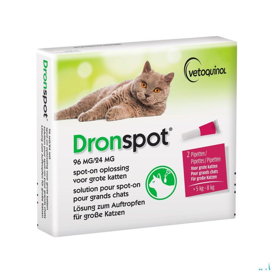 Dronspot 96 mg/24 mg Spot-On Kat Groot >5-8Kg Pip 2