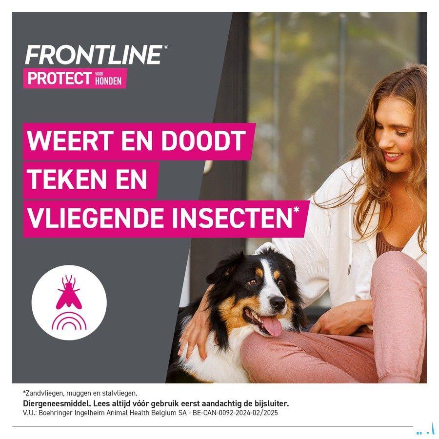 Frontline Protect Spot On Opl Hond 10-20Kg Pipet 3