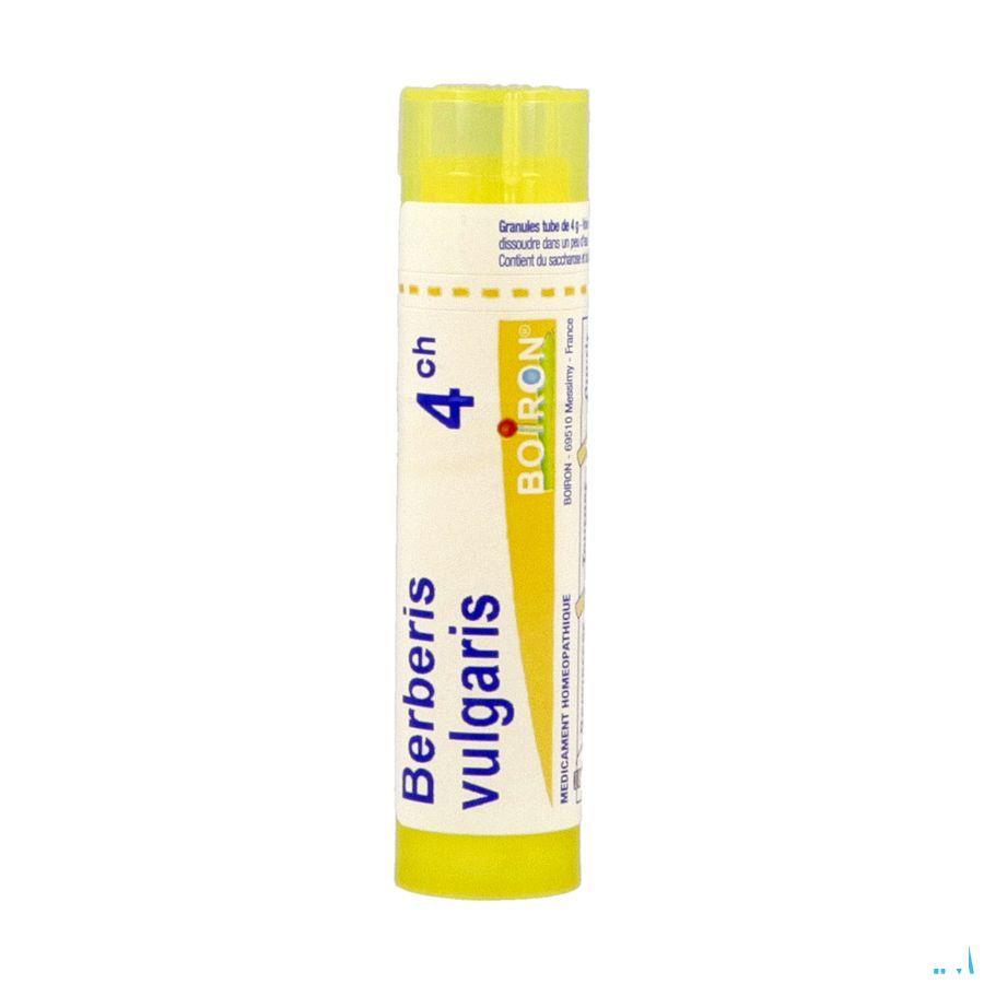 Berberis Vulgaris 4ch Gr 4g  -  Boiron