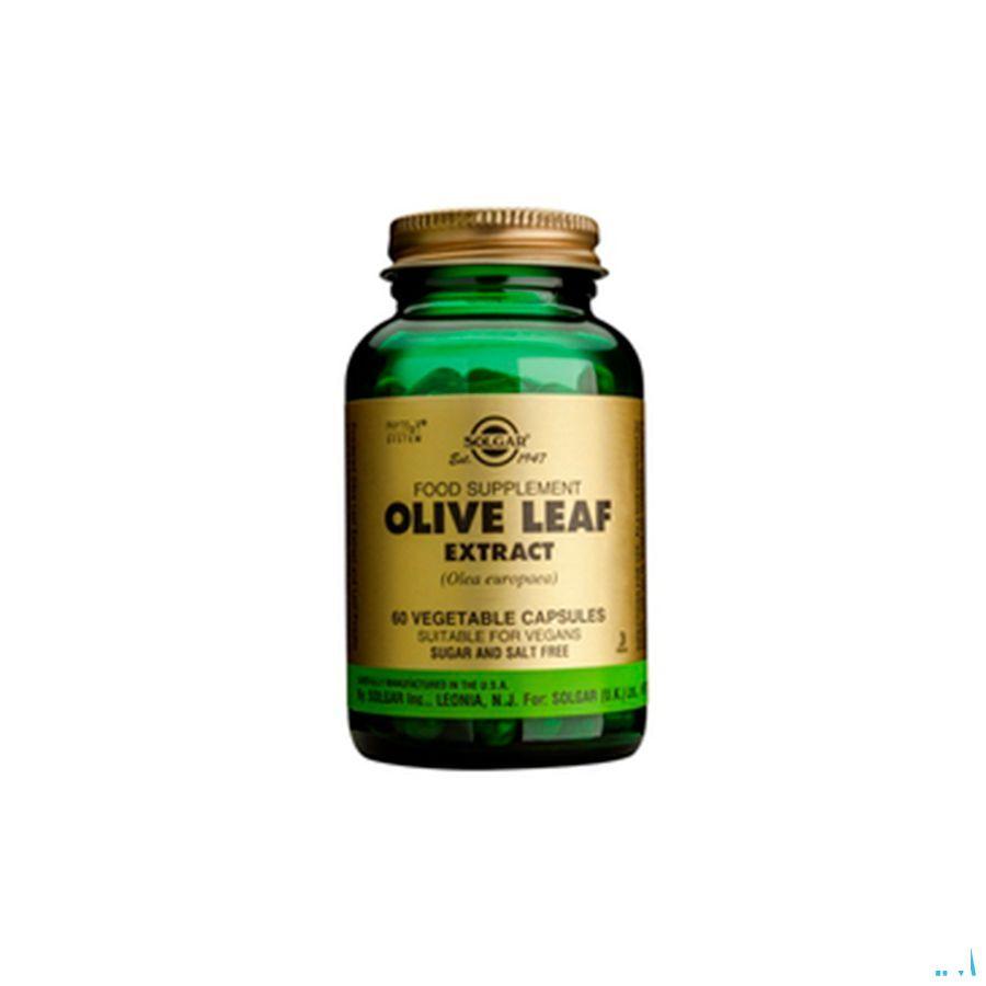 Solgar Olive Leaf Extract (olijfblad) V-Capsule 60  -  Solgar Vitamins