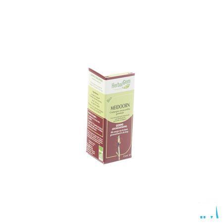 Herbalgem Aubepine Macerat 15 ml  -  Herbalgem