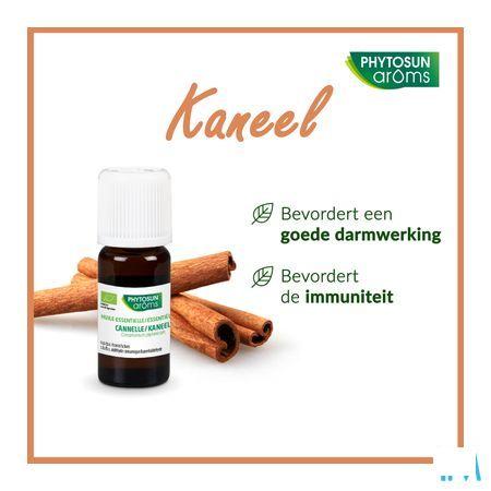 Phytosun Kaneel Fr-bio-01 5 ml