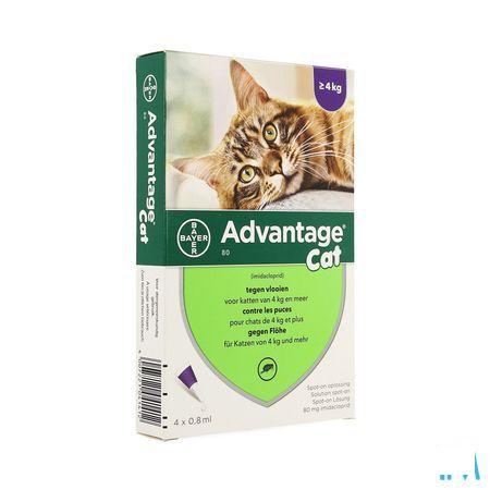 Advantage 80 Katten >4kg 4x0,8ml