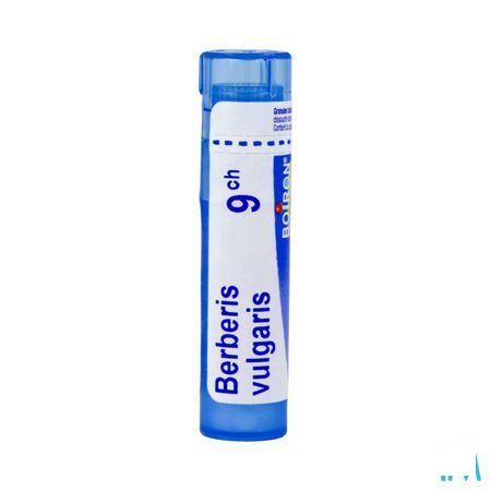 Berberis Vulgaris 9CH Gr 4g  -  Boiron