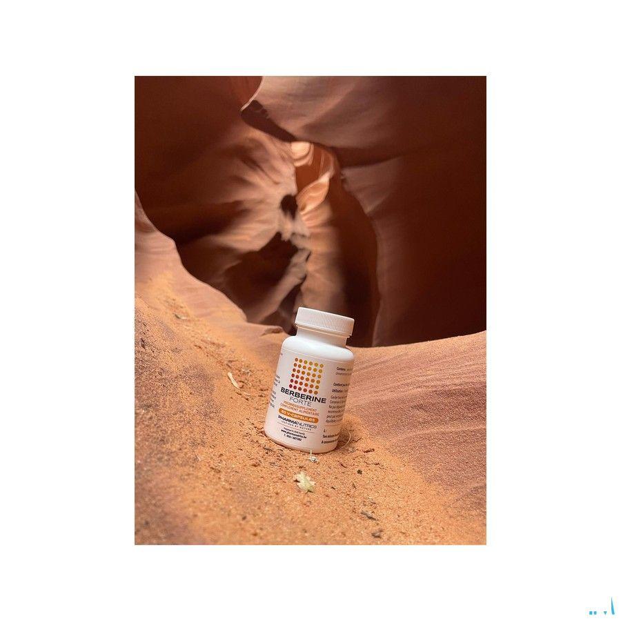 Berberine Forte V-Caps 60 Pharmanutrics